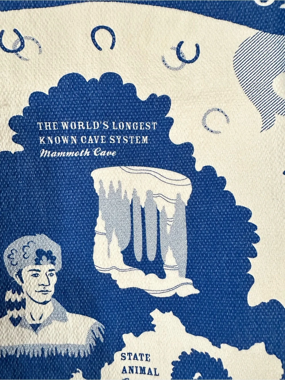 Old Home Kentucky dish towel blue white Daniel Boone horseshoe souvenir novelty